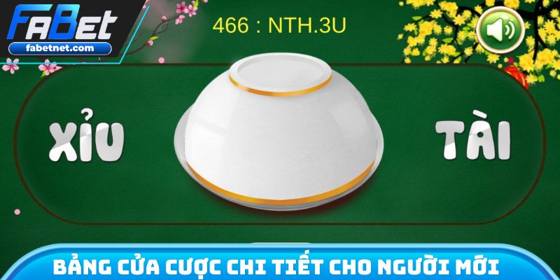 Bảng cửa cược liệt kê chi tiết cho người mới
