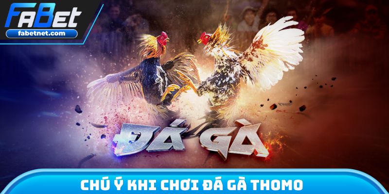 Chú ý khi chơi đá gà Thomo
