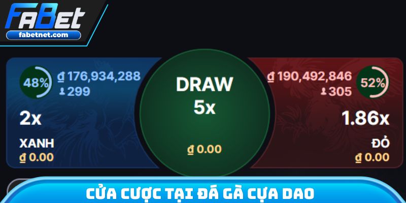 Cửa cược tại đá gà cựa dao