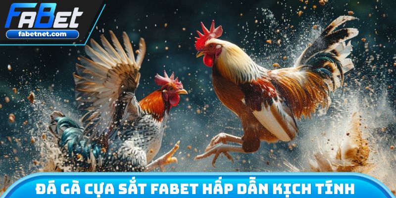 Đá gà cựa sắt FABET hấp dẫn đầy kịch tính 