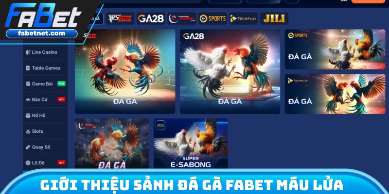 Giới thiệu sảnh đá gà FABET máu lửa