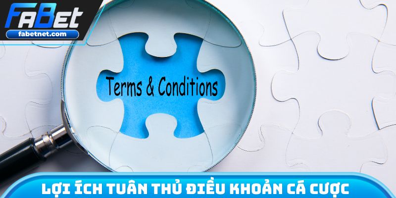 Lợi ích tuân thủ điều khoản cá cược