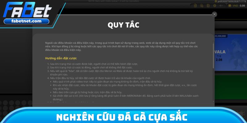 Nghiên cứu đá gà cựa sắc