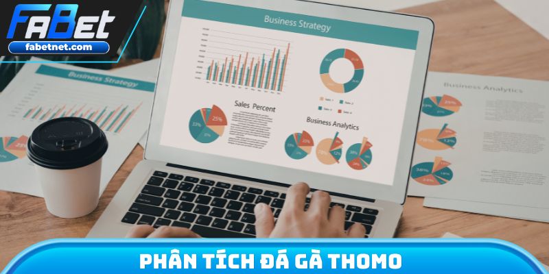 Phân tích đá gà Thomo