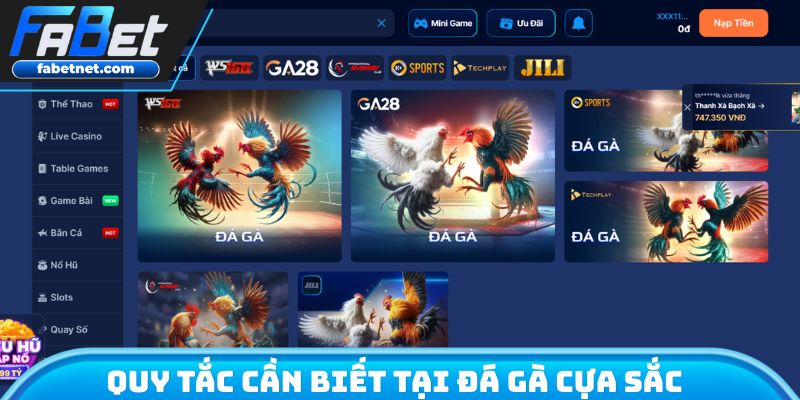 Quy tắc cần biết tại đá gà cựa sắc