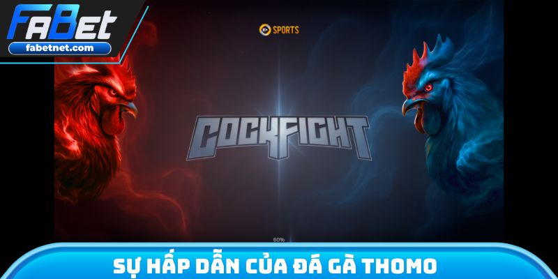 Sự hấp dẫn của đá gà Thomo