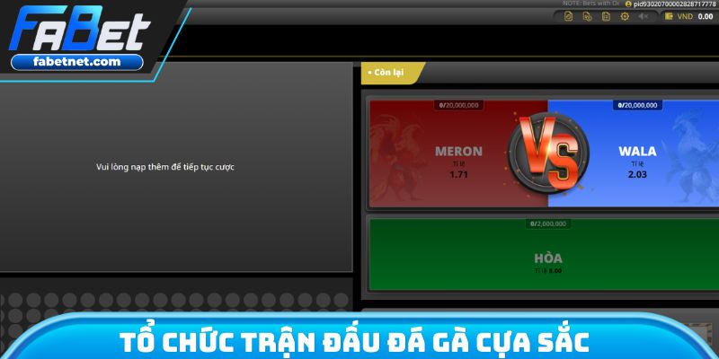Tổ chức trận đấu đá gà cựa sắc